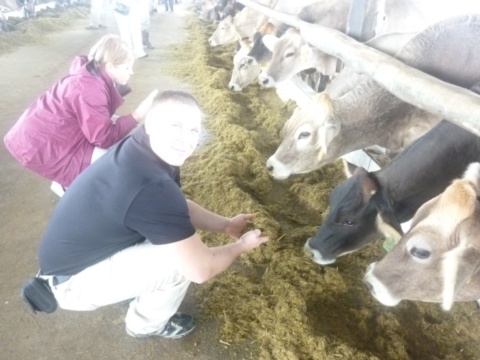 checking feed at the dairy