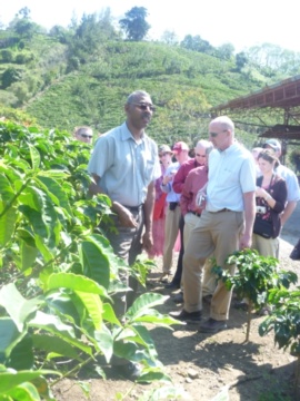 Touring a coffee cooperative field