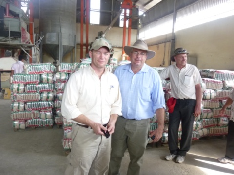 at rice processing plant