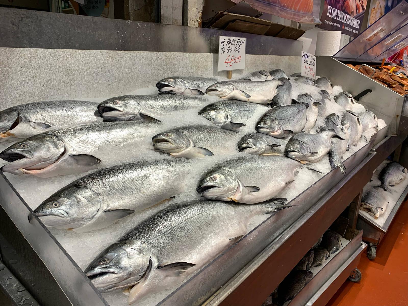 Frozen fish at Pike Place Market
