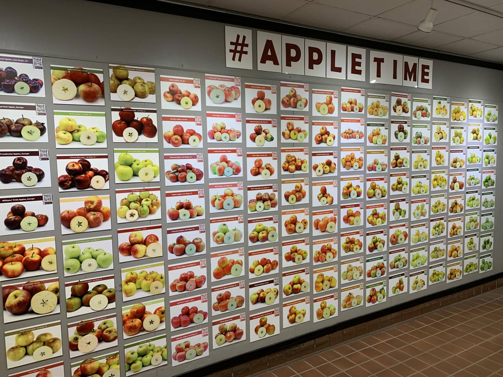 display of various apples