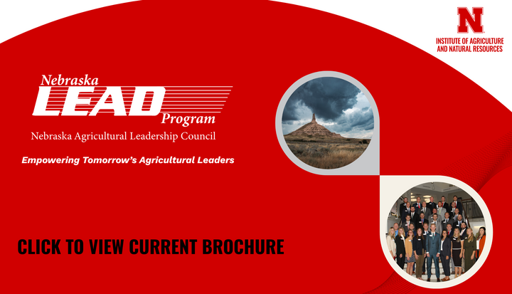 Graphic for the current brochure