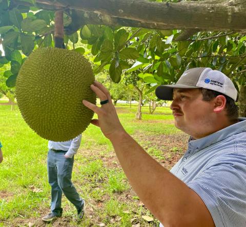 Cole Lewandowski examines a jackfruit. Jackfruit is the largest fruit in the world and commonly available in the United States. 