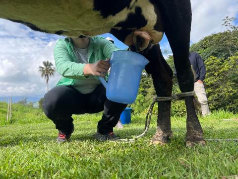LEAD fellow Stephanie Schuler shows the class how to milk a cow during their tour of La Huerta. La Huerta is a hotel focused on agritourism. The hotel aims to be carbon neutral and grows much of the food for its restaurant on the hotel property. 