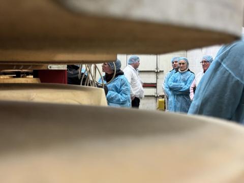 Lead group on a dairy tour behind wheels of cheese.