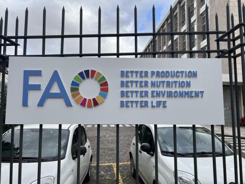 Up next for the cohorts after a very quick lunch was a visit to the FAO!