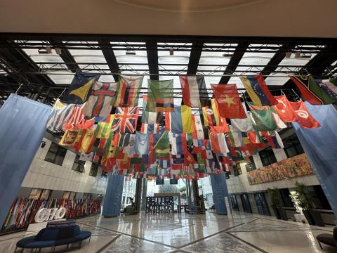 Inside one of the large meeting rooms at the facility. All flags hanging from the ceiling are members of the organization. 