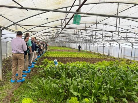 Checking out the greenhouse and all of the different crops grown on-site. 