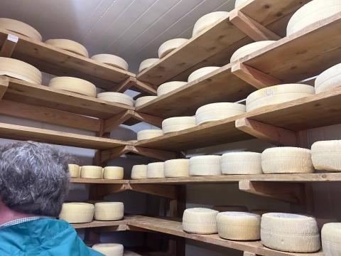 Various assortment of cheeses resting in one of the storage rooms in the ex-prison.